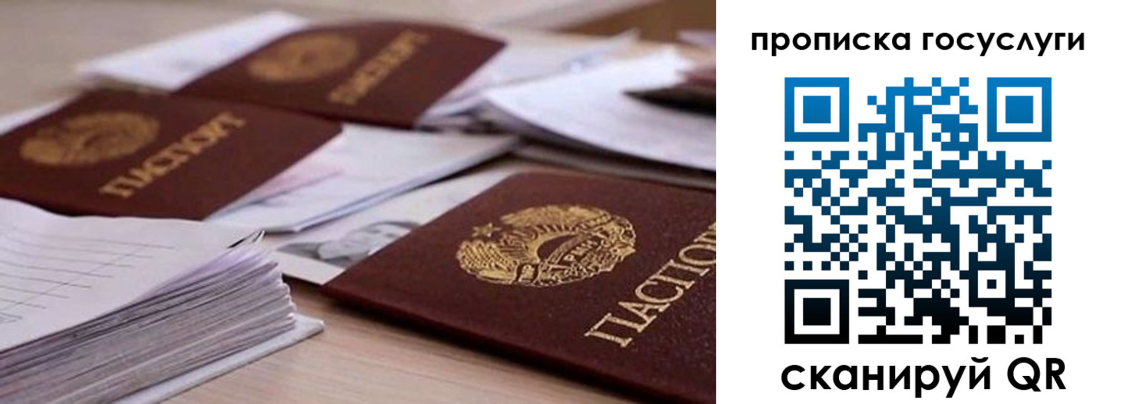 прописка для кредита в Светлогорске
